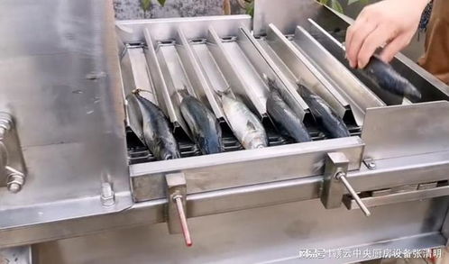 大型魚丸加工設備 全自動漁業與礦物加工新篇章